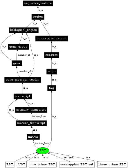 Graph image for SO:0000345