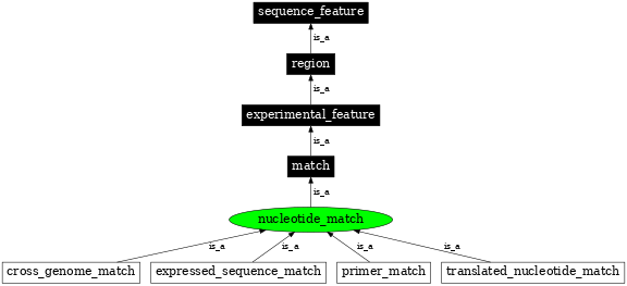 Graph image for SO:0000347