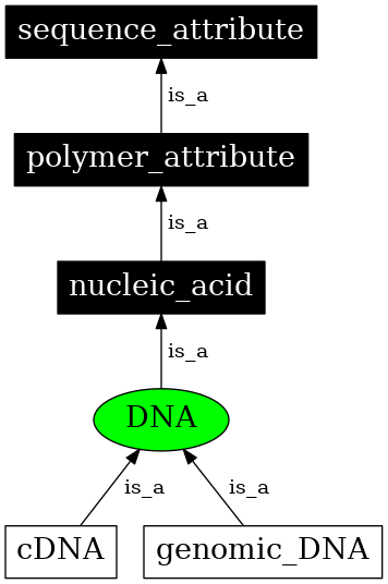 Graph image for SO:0000352