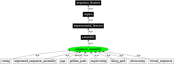 Graph image for SO:0000353