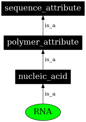 Graph image for SO:0000356