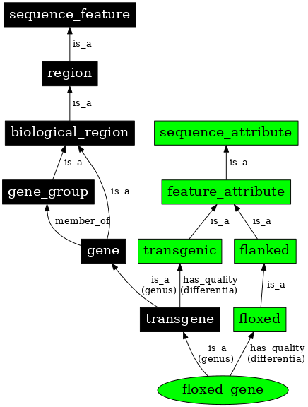 Graph image for SO:0000363