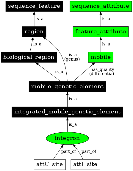 Graph image for SO:0000365