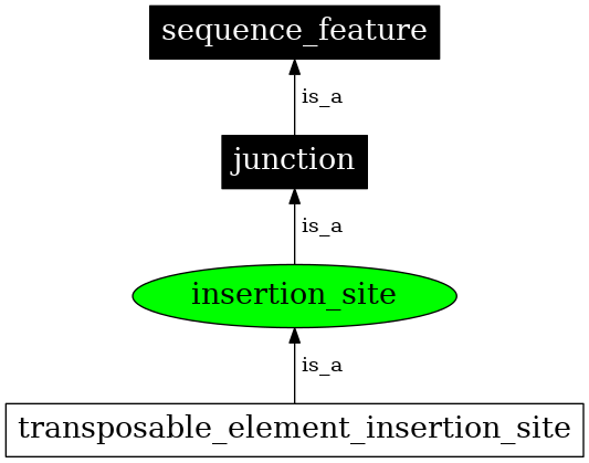 Graph image for SO:0000366