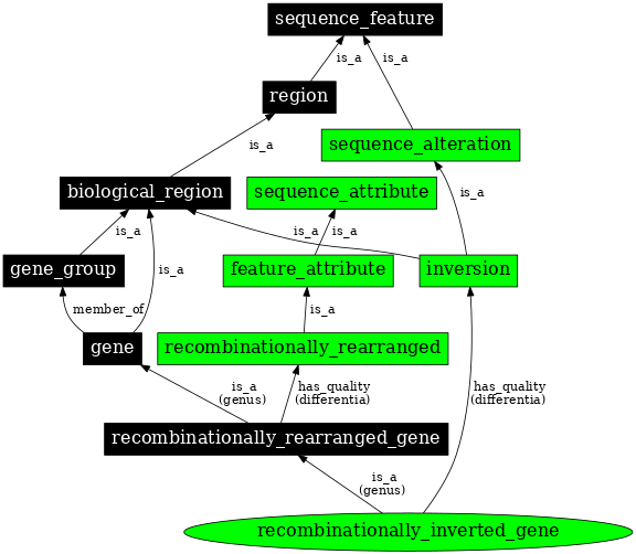 Graph image for SO:0000373