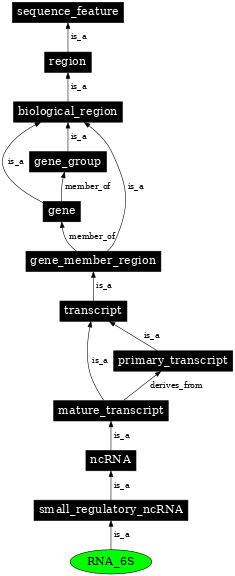 Graph image for SO:0000376