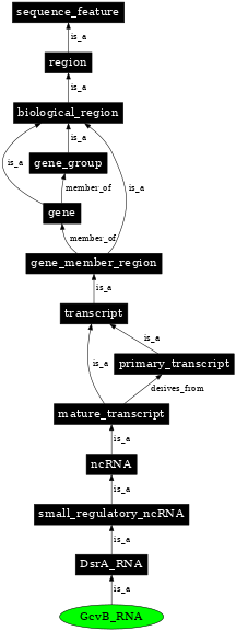 Graph image for SO:0000379