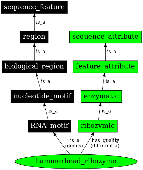 Graph image for SO:0000380