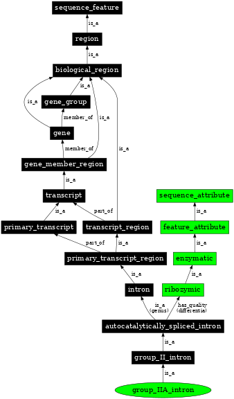 Graph image for SO:0000381