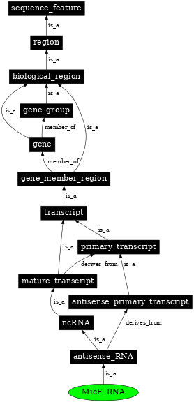 Graph image for SO:0000383