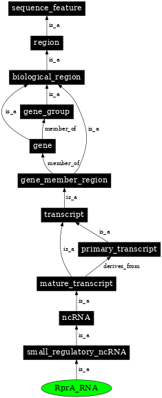 Graph image for SO:0000387