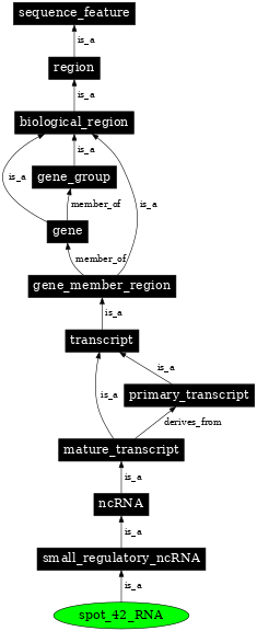 Graph image for SO:0000389