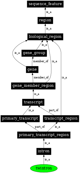 Graph image for SO:0000406