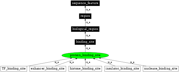 Graph image for SO:0000410