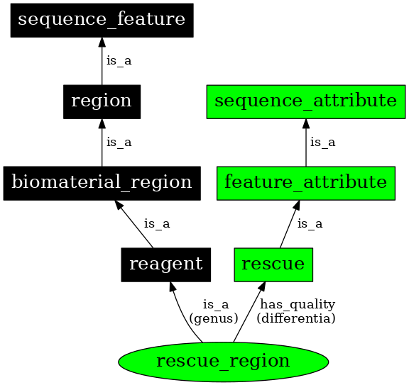 Graph image for SO:0000411