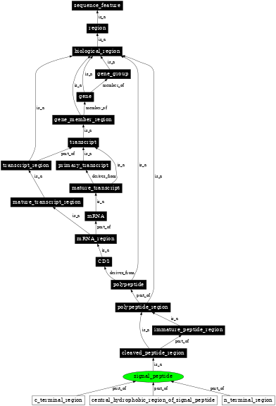 Graph image for SO:0000418