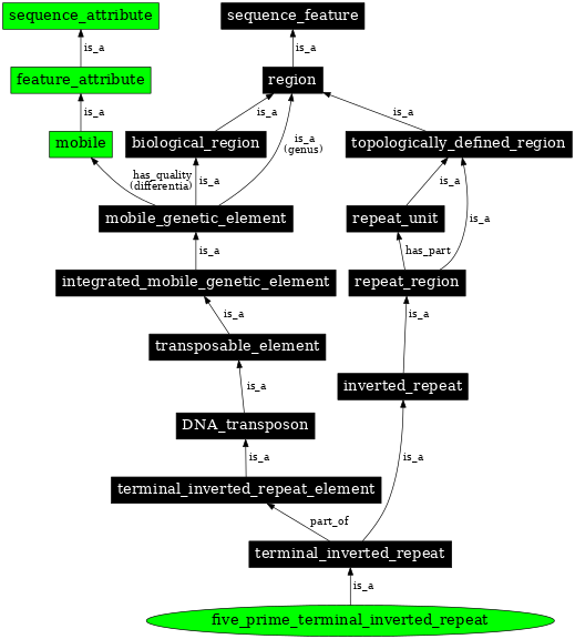 Graph image for SO:0000420