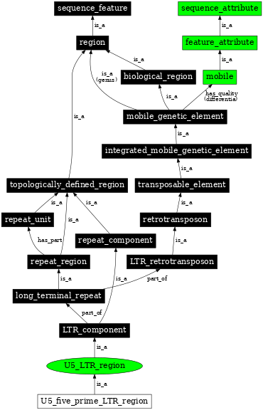 Graph image for SO:0000422