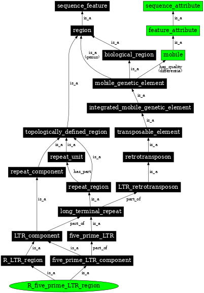 Graph image for SO:0000427