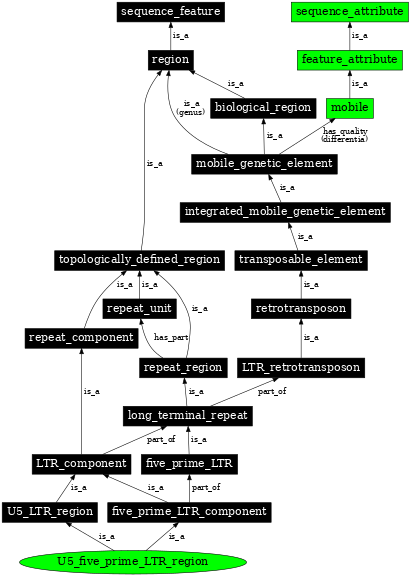 Graph image for SO:0000428