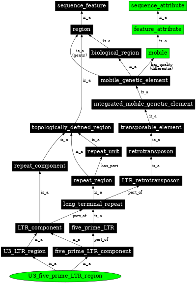 Graph image for SO:0000429