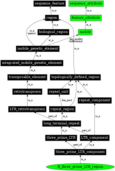 Graph image for SO:0000430