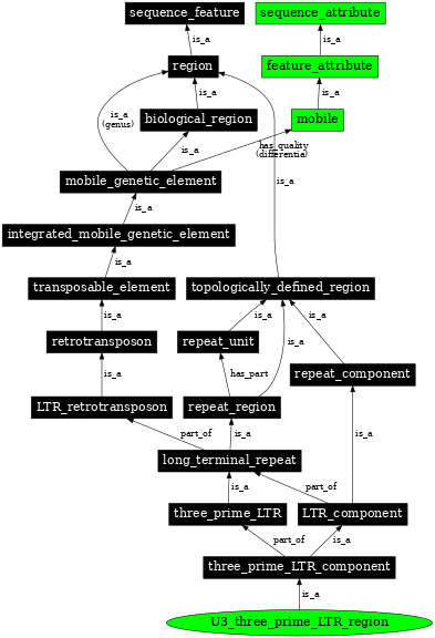 Graph image for SO:0000431