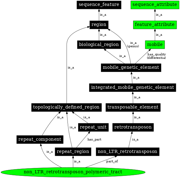 Graph image for SO:0000433