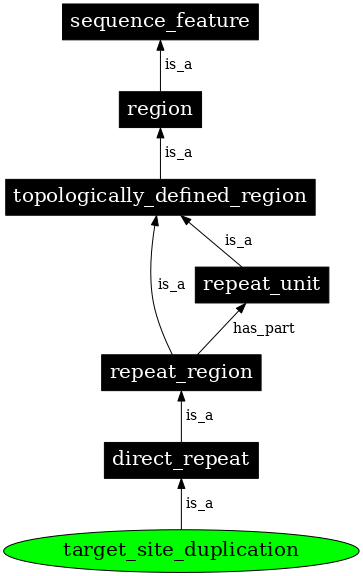 Graph image for SO:0000434