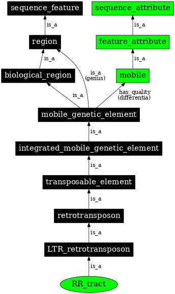 Graph image for SO:0000435