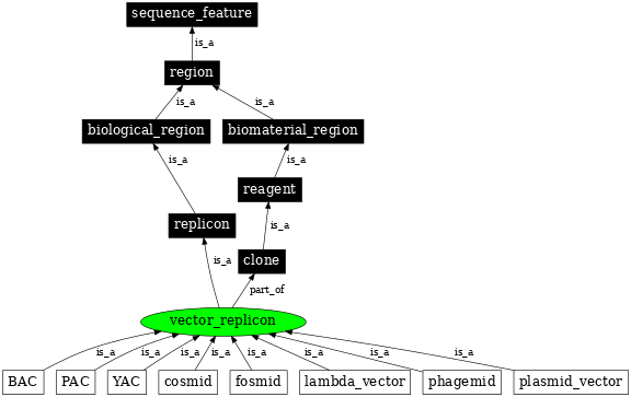 Graph image for SO:0000440