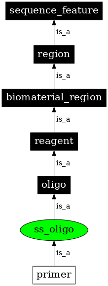 Graph image for SO:0000441