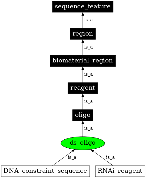 Graph image for SO:0000442