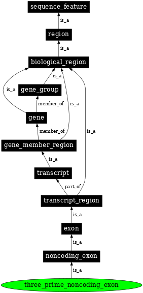 Graph image for SO:0000444