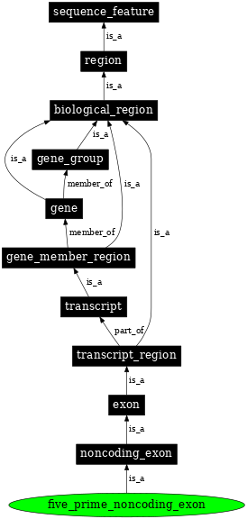 Graph image for SO:0000445