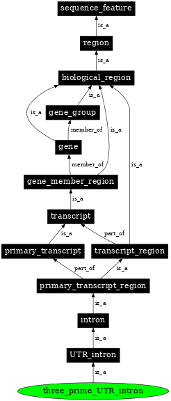 Graph image for SO:0000448