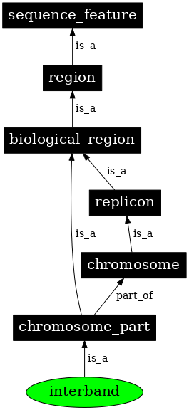 Graph image for SO:0000450