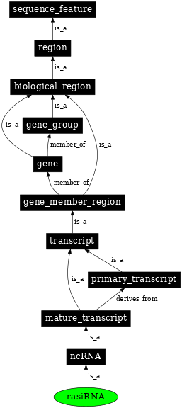 Graph image for SO:0000454