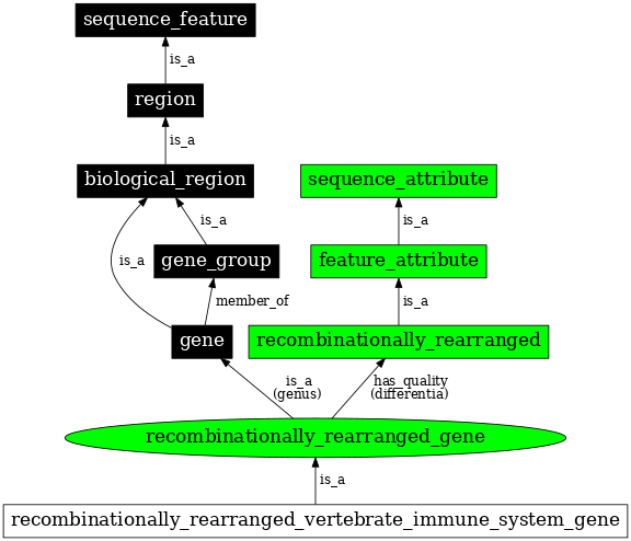 Graph image for SO:0000456