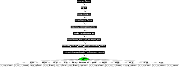 Graph image for SO:0000458