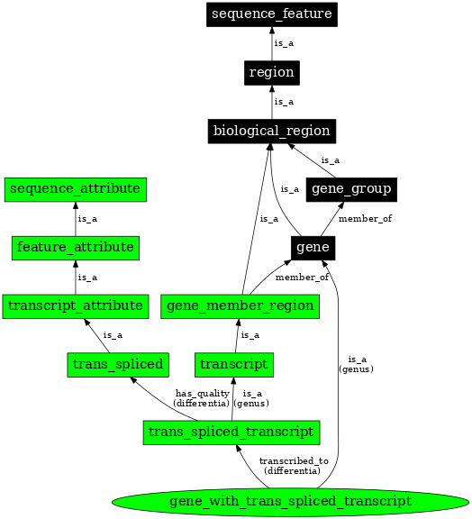 Graph image for SO:0000459