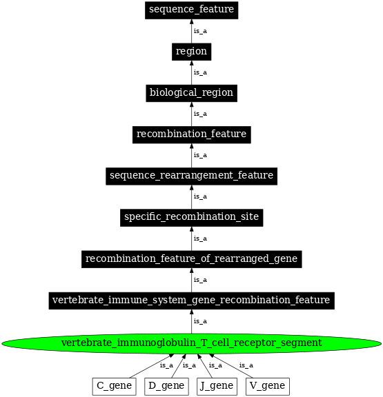 Graph image for SO:0000460