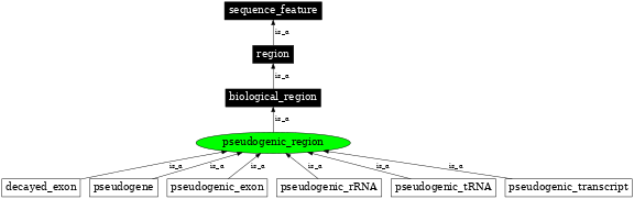 Graph image for SO:0000462