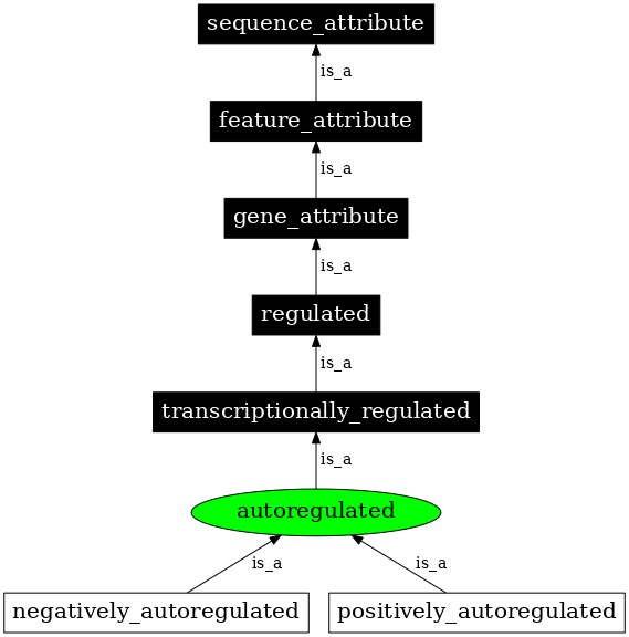 Graph image for SO:0000471