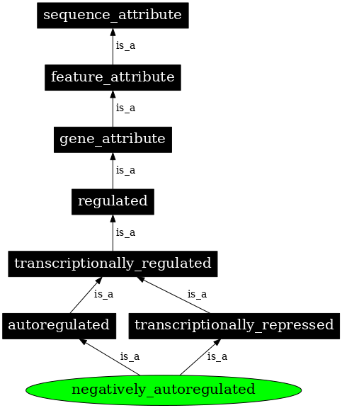 Graph image for SO:0000473