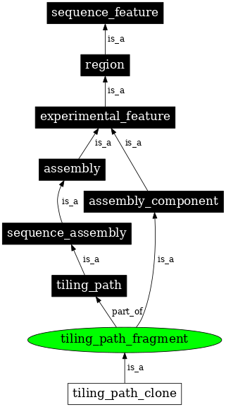 Graph image for SO:0000474