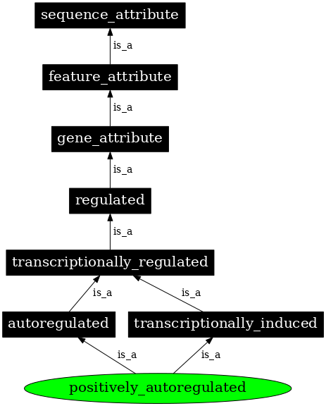 Graph image for SO:0000475