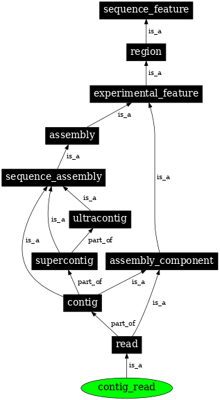 Graph image for SO:0000476