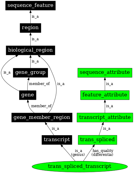 Graph image for SO:0000479