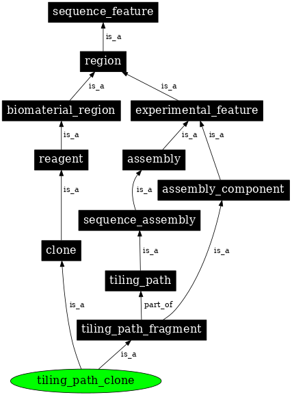 Graph image for SO:0000480